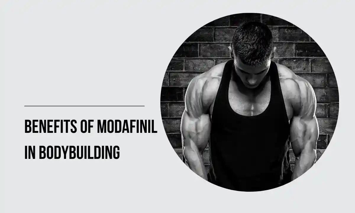 Benefits of Modafinil in Bodybuilding