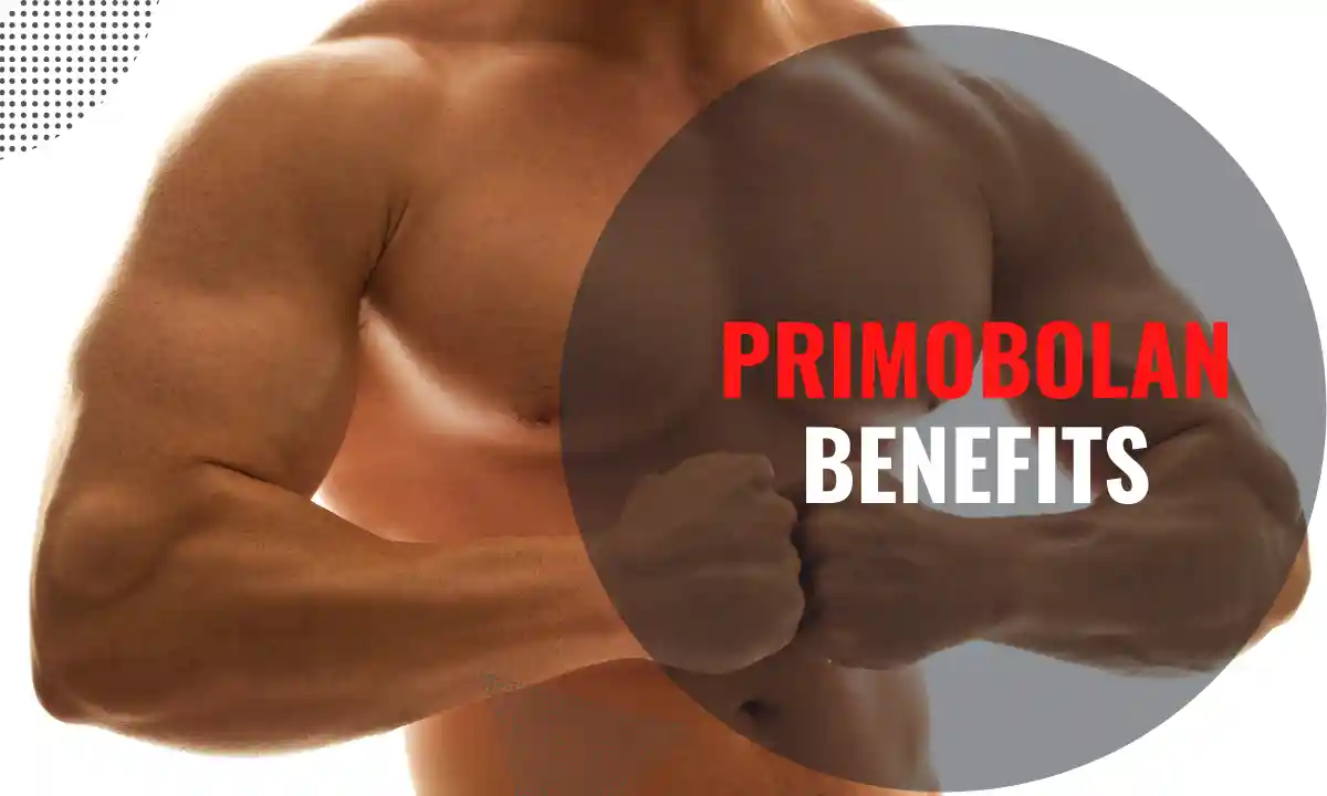 Primobolan Benefits