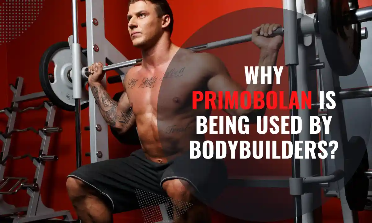 Why Primobolan is being used by bodybuilders?