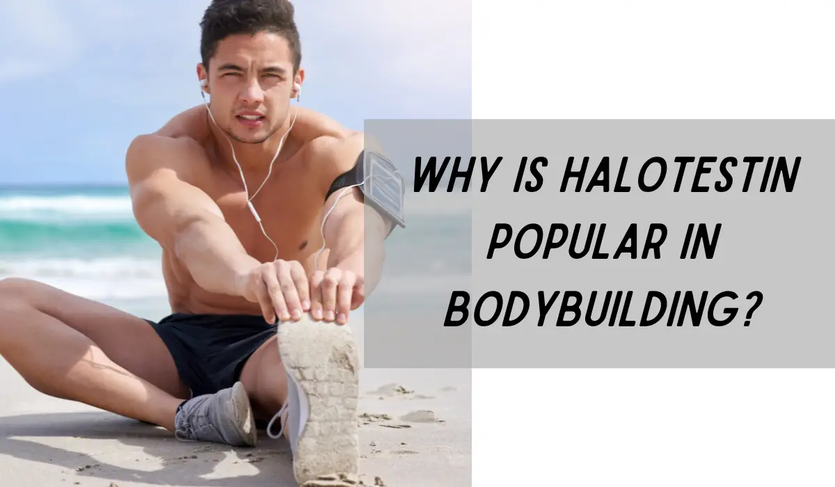Why is Halotestin popular in bodybuilding?