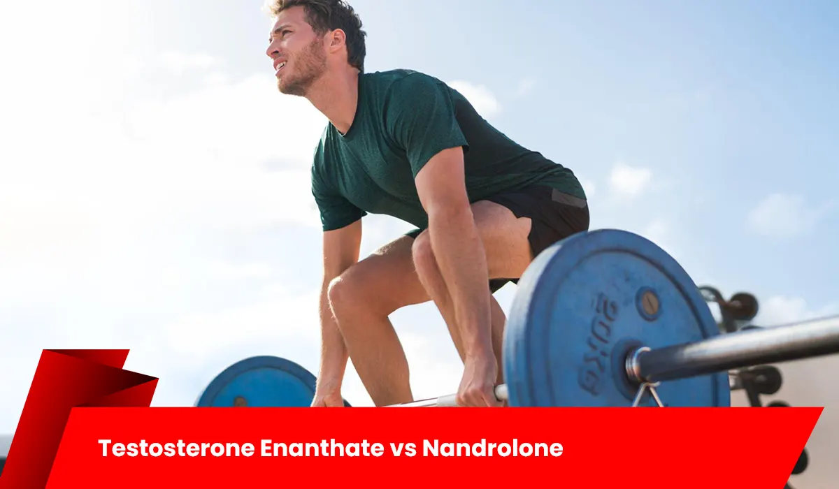 Testosterone Enanthate vs Nandrolone