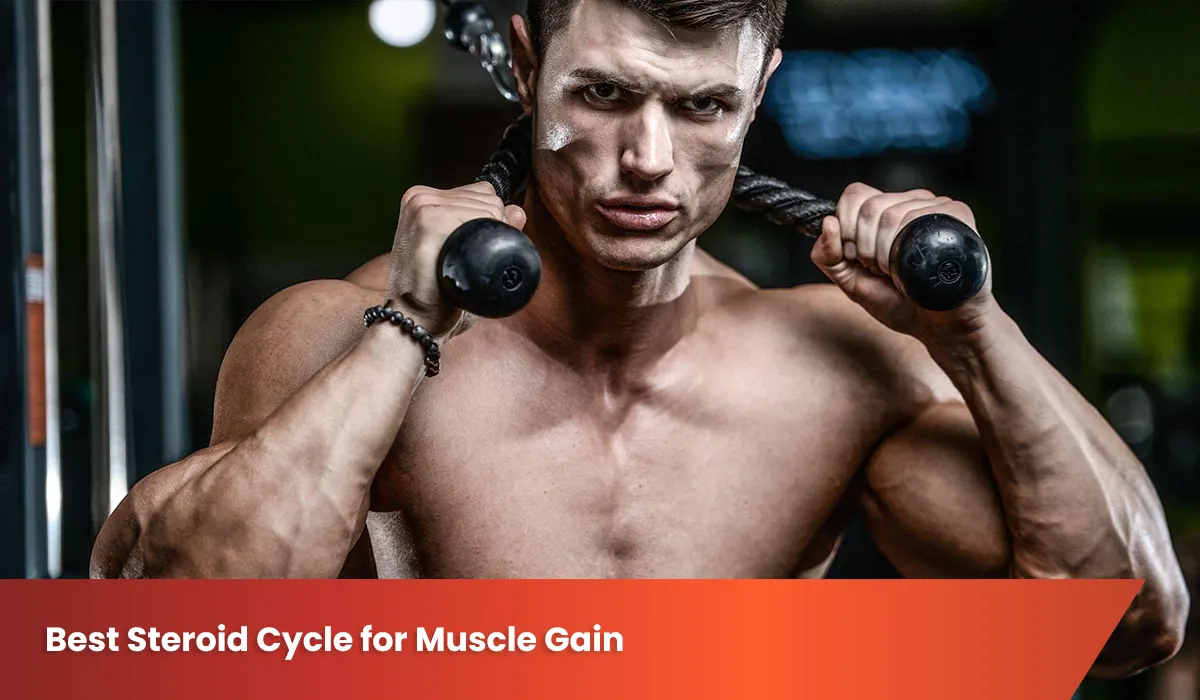 Primobolan Depot: Having the Best Steroid Cycle for Muscle Gain